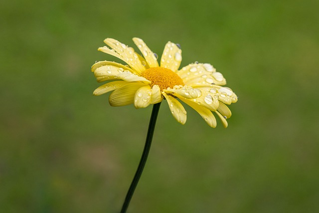 飲食料品の消費税ゼロは 「課税取引」